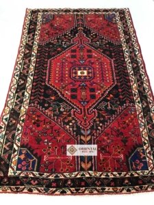 Persian Hamadan Rug Cleaning